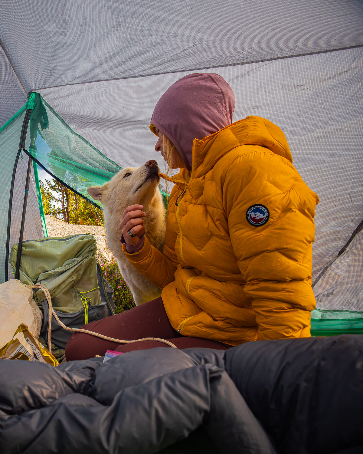 Person in yellow jacket with a dog inside a tent in a natural setting