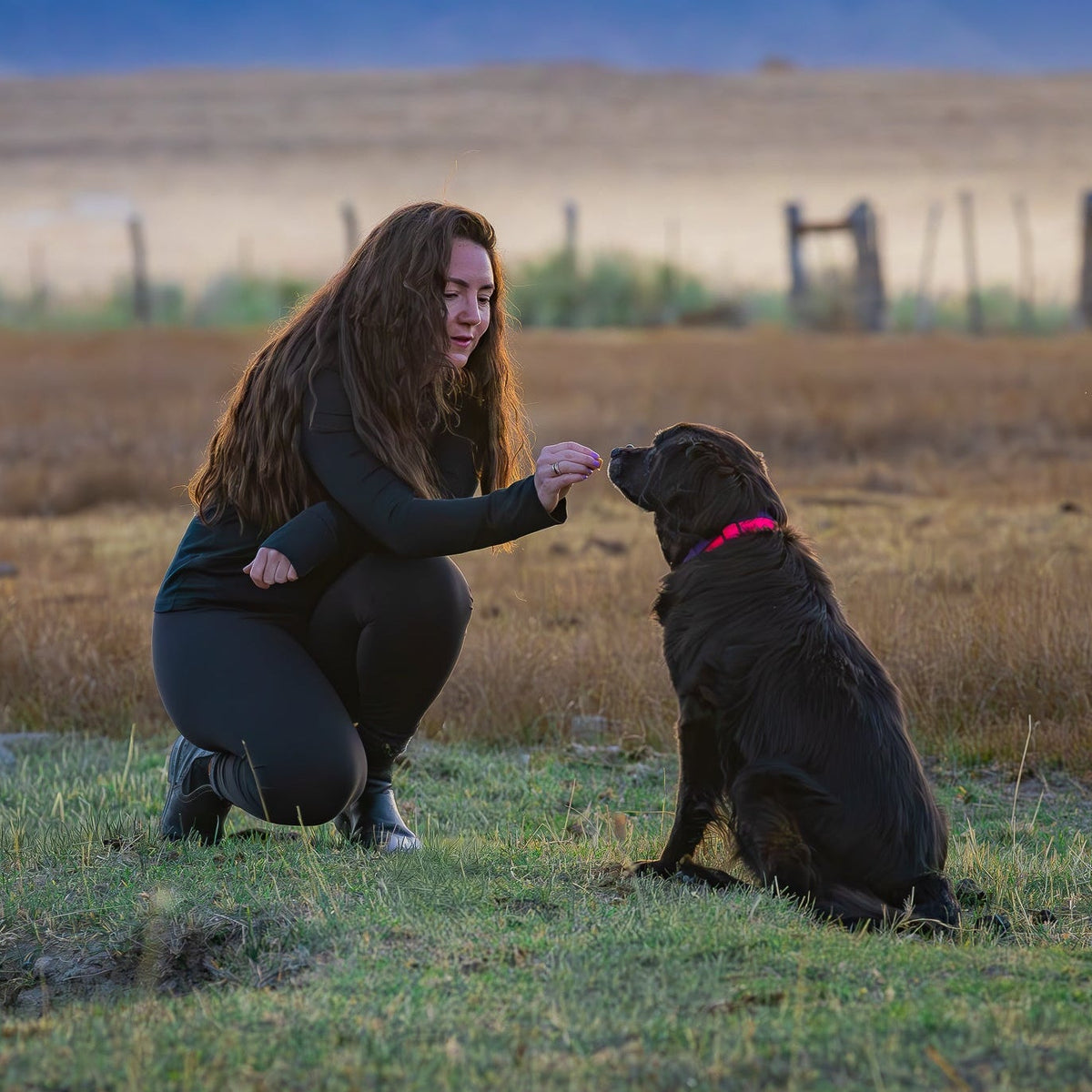 Woman kneeling down to pet a dog in an open field