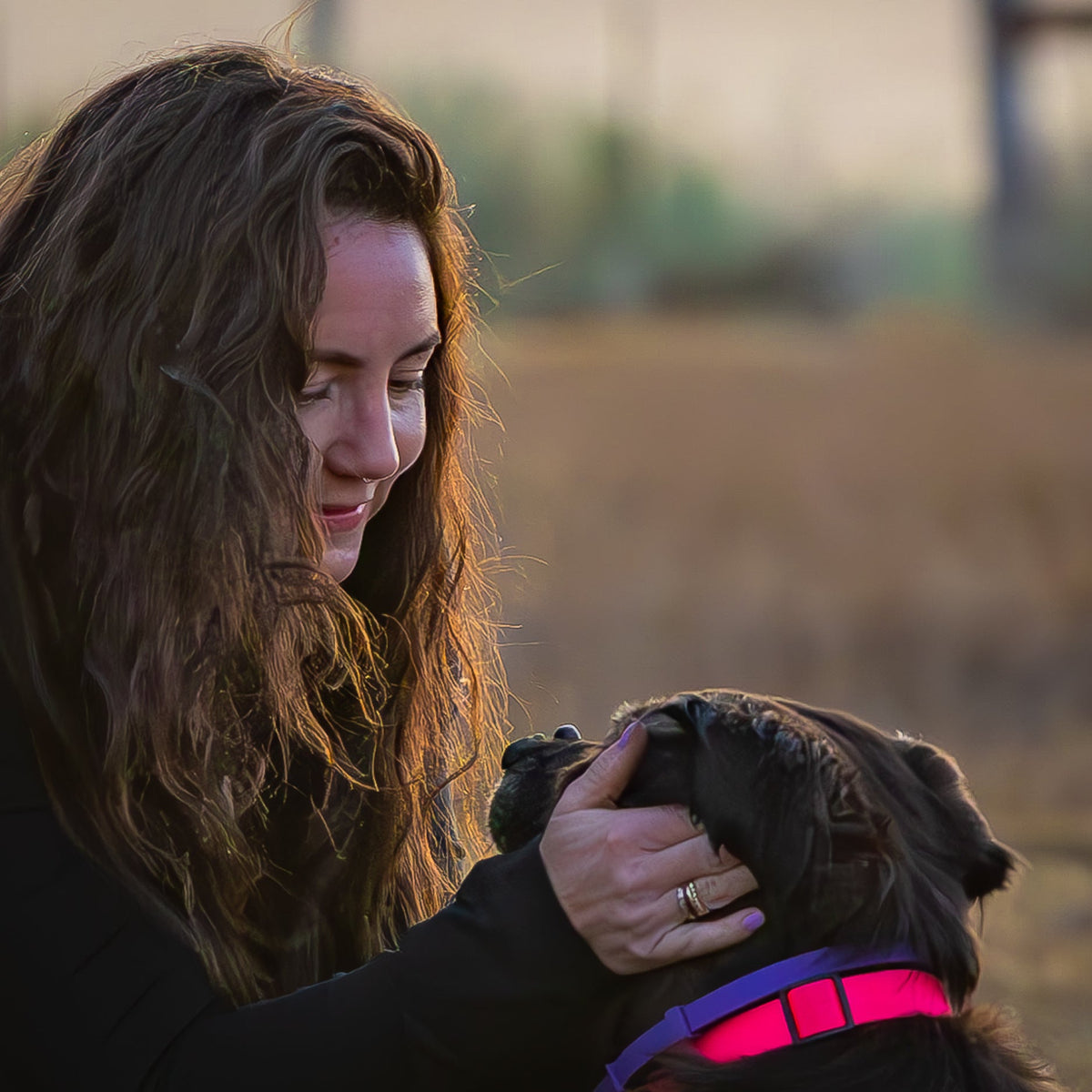 Woman petting a black dog with a pink harness in a field at sunset.